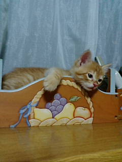20080705204008.jpg
