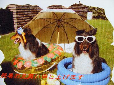 summer