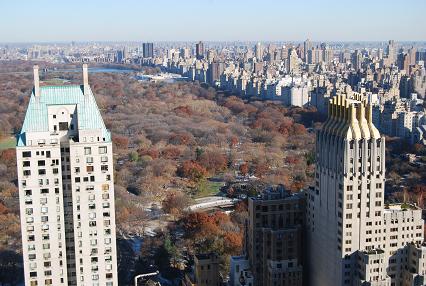 central park12/6