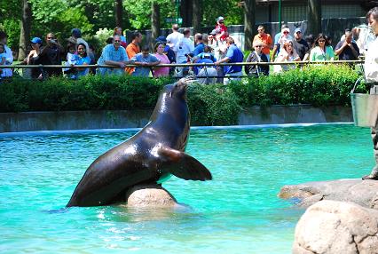 bronx zoo