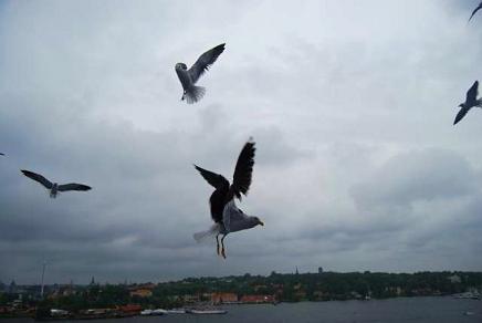 oslo