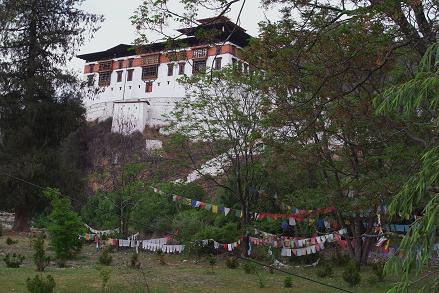 paro