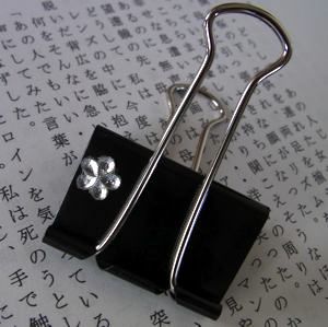 novel