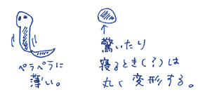 プラナリア2