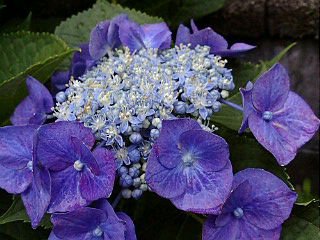 20170723162349_ed.jpg