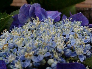 20170723162417_ed.jpg