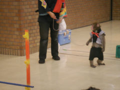 20061022_1