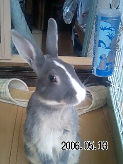 zeon