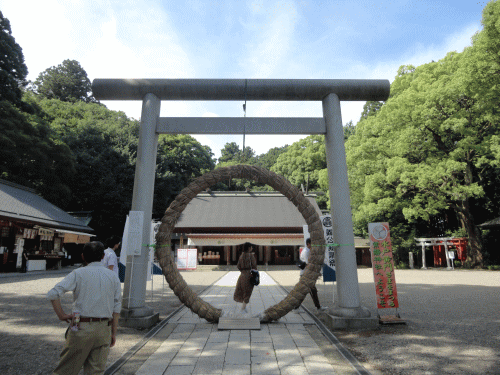 mito3.gif