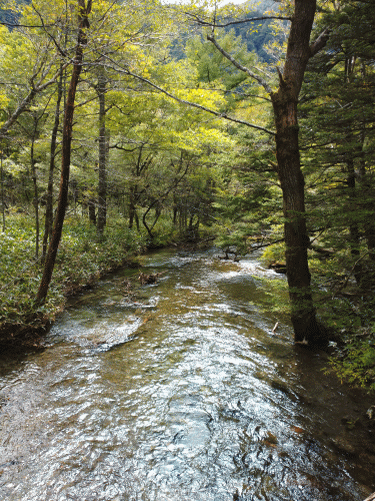 kamikochi8.gif