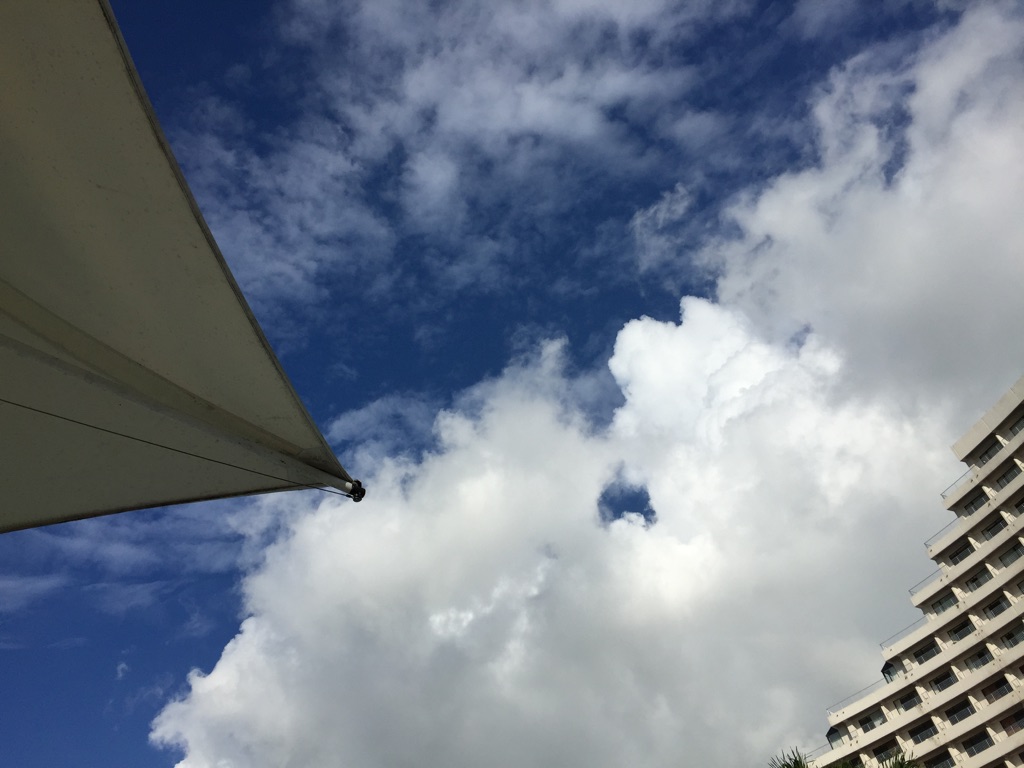 IMG_6665.jpg