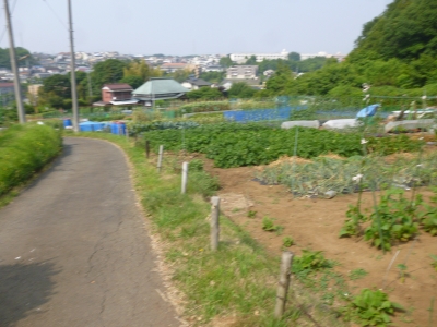 【名駅】名古屋を中心とする中京大都市圏【栄】 	YouTube動画>3本 ->画像>167枚 