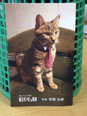 看板猫