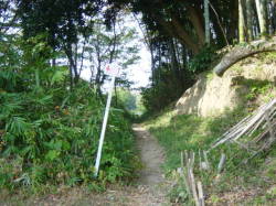 古い遍路道