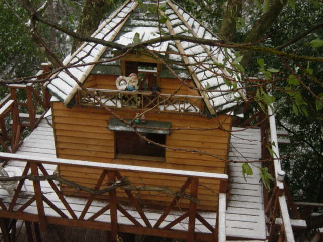 雪化粧のツリーハウス
