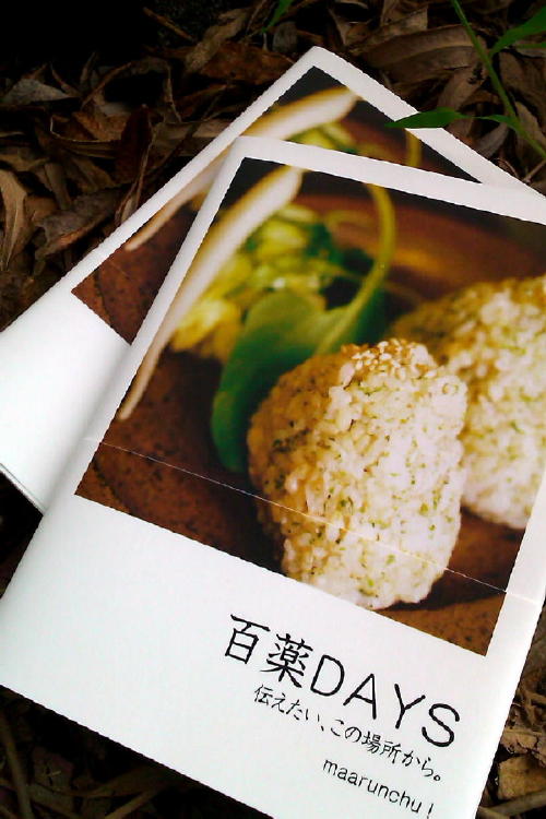 百薬DAYS