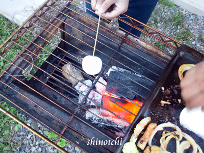バーベキュー アウトドアクッキング 焼きマシュマロ