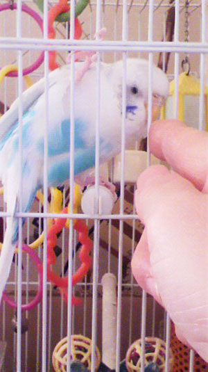 2011012707470000.jpg