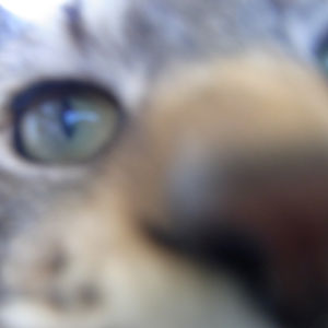 RIMG0054.jpg