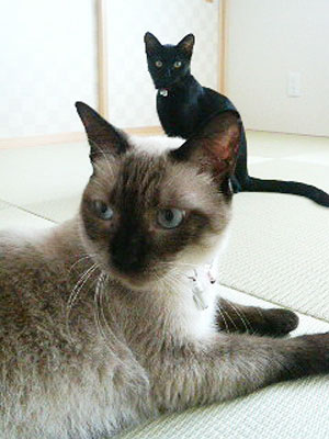 P1000134.jpg
