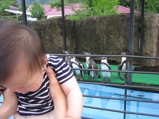 ペンギンと。下向いちゃってます。