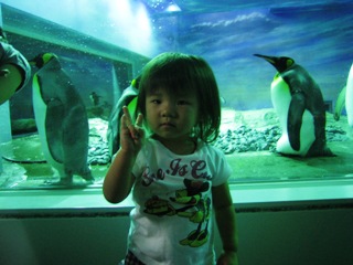 ペンギンとチーズ