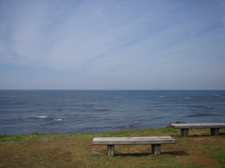 IMG_5444_320.JPG