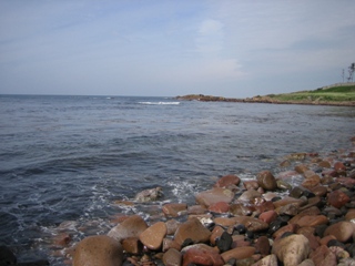 IMG_5447_320.JPG