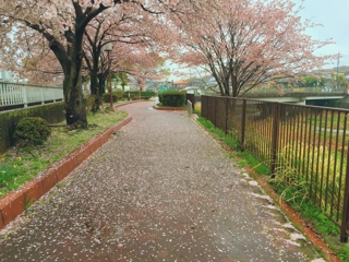 iPhoneImage.png