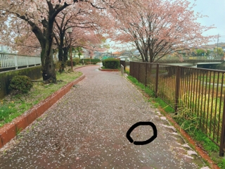 iPhoneImage.png