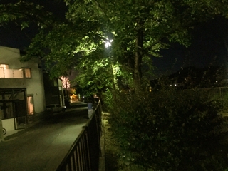 iPhoneImage.png