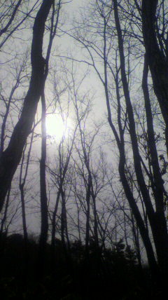 2019021112310000.jpg