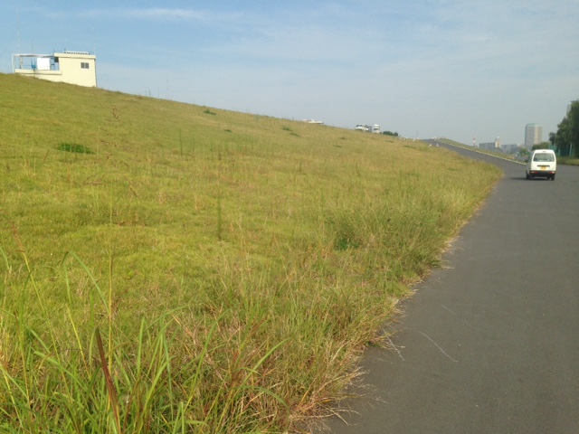 荒川堤防1.JPG
