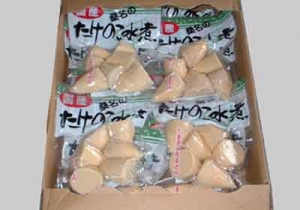 たけのこ水煮 小玉詰セット