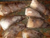 朝堀たけのこ10kg