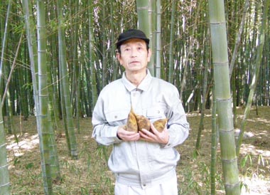収穫 朝掘りタケノコ