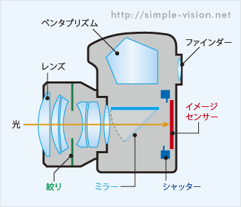 一眼レフ断面図2.gif