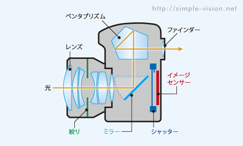 一眼レフ動作イメージ.gif