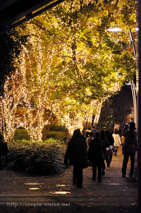 檜町公園前.jpg