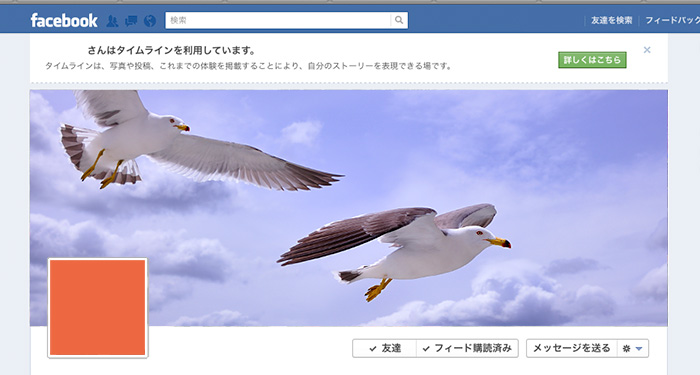 カバー写真制作過程