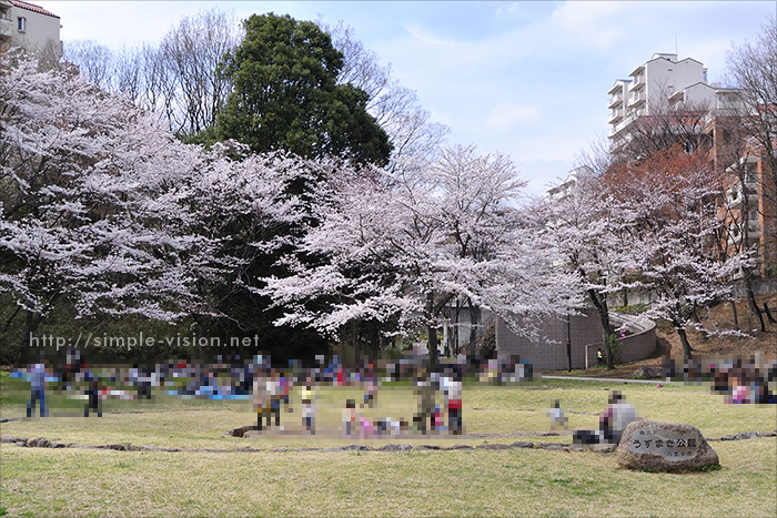 うずまき公園の桜