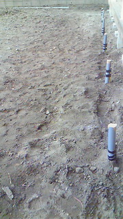 201002230844000.jpg