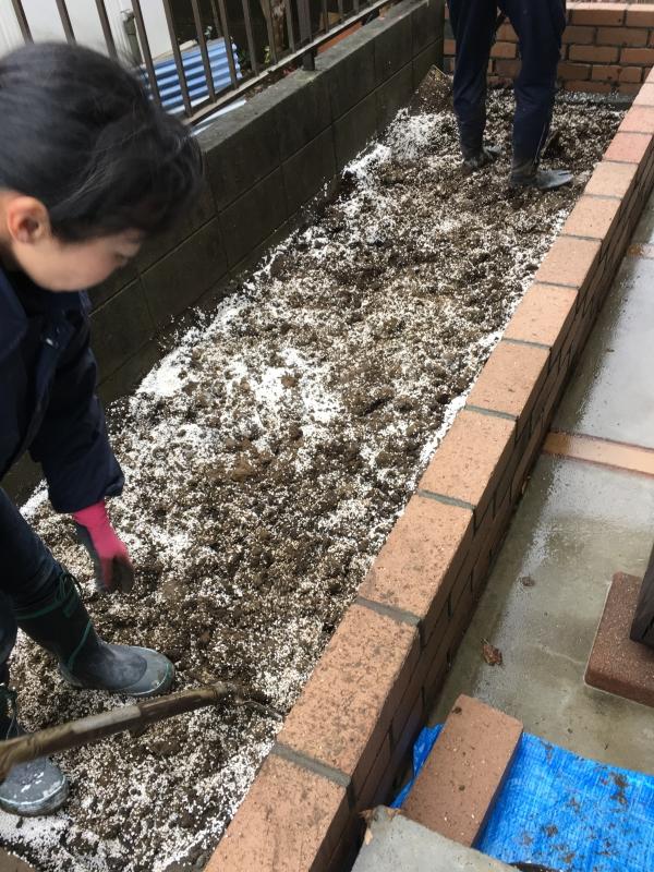 ¼Ì¿¿ 2017-01-09 10 35 54.jpg