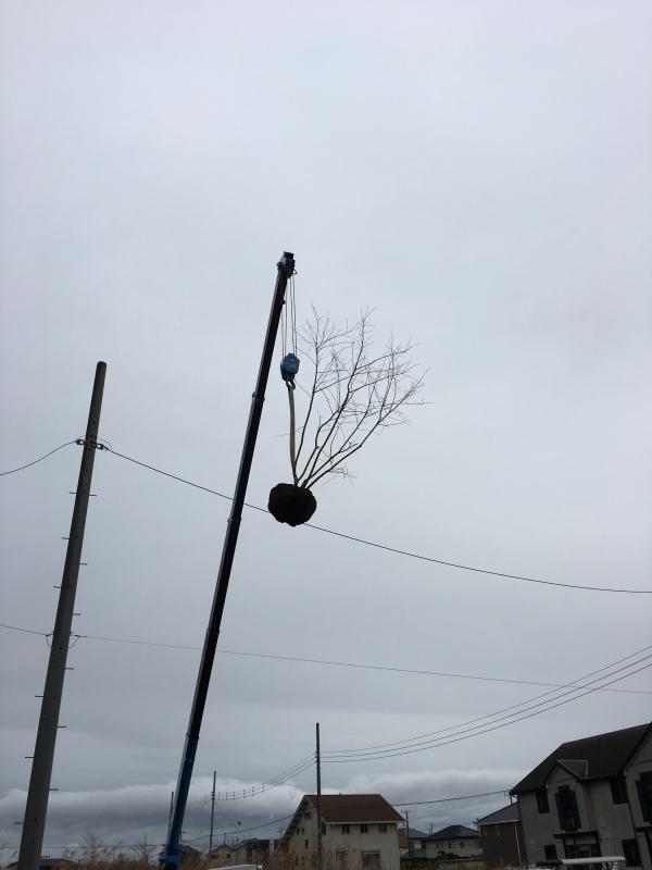 ¼Ì¿¿ 2017-01-09 10 53 20.jpg