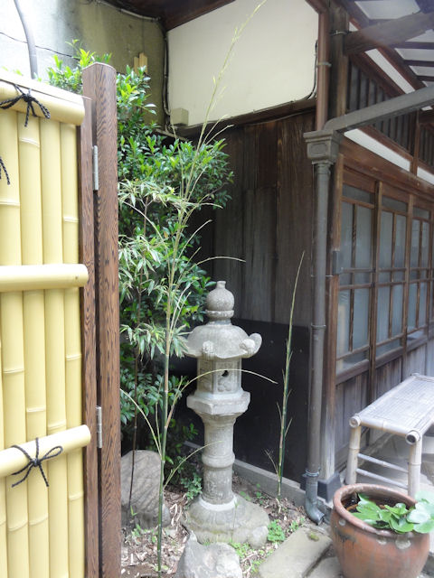 玄関先の坪庭の「黒竹」 | 慈眼院「澤蔵司稲荷」住職・別当のblog