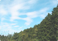 当日の空