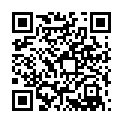 steal-i treasure qr