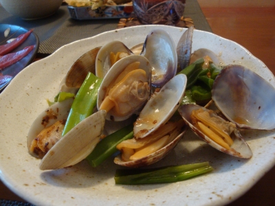DSC07480.JPG