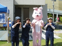 ウサギと1