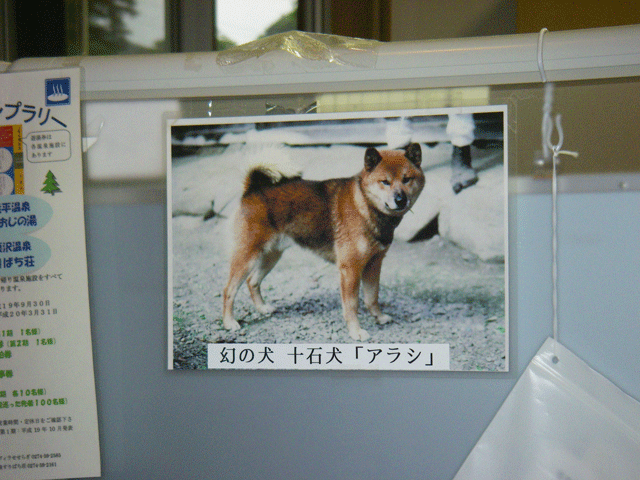 inu